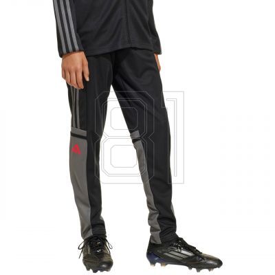 adidas Squadra 25 Training Jr Hose JD1628