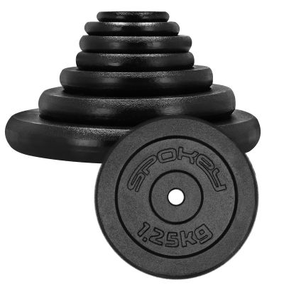 3. Gusseisengewicht 1,25 kg Spokey Sinis SPK-944482
