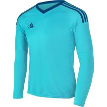 Goalkeeper jersey adidas Revigo 17 Junior AZ5391