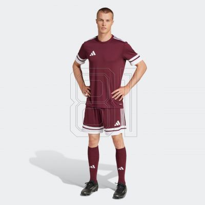 7. Shorts adidas Squadra 25 M JC8677