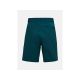 2. PEAK PERFORMANCE M Iconiq Shorts, grün
