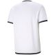 4. Puma TeamLiga Trikot M 704917 04