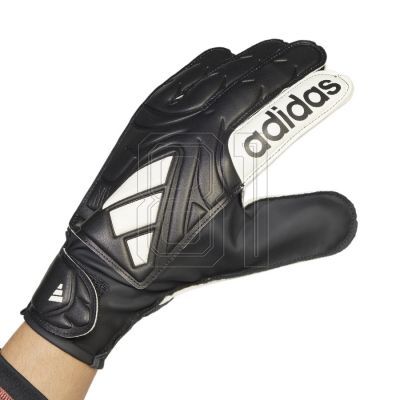2. adidas Copa GL Club M Handschuhe JY0625