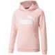 3. Puma ESS Logo Hoodie FL Jr 587031 36 Sweatshirt