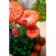 7. LEGO Botanische Kollektion 11505 - Wildpilze