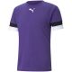 5. Puma teamRise Trikot M 704932 10