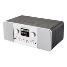 GoGen IR 257 BTDAB Digital Internet Silber