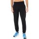 Asics Logo Jogginghose M 2031E189-002
