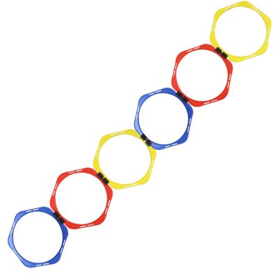 HEX Koordinationsleiter 2m