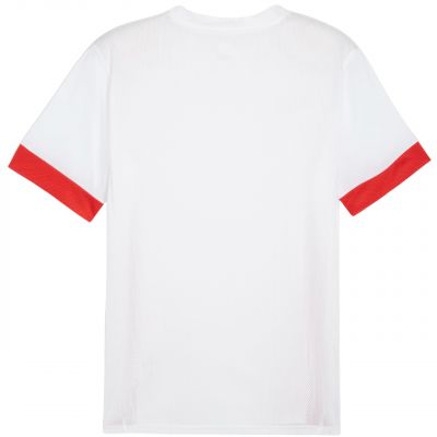 2. Puma teamGoal Spieltagstrikot M 705747 11