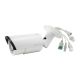8. LevelOne IPCam Bullet Fix Out Kamera 2MP / H.264 / IR / 5W / PoE / IP66