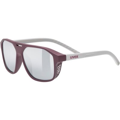 6. Uvex Cosmic Unisex Vollformat Silber