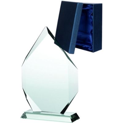 6. Glastrophäe mit Etui
