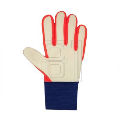 2. Goalkeeper gloves Reusch Attrakt Starter Solid M 5570513 2500