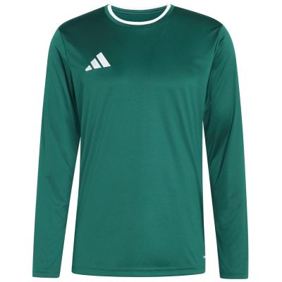 2. adidas Entrada 26 Langarmtrikot für Herren, grün, KF5846