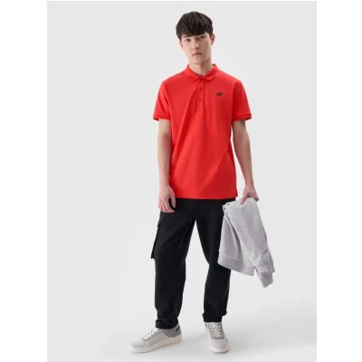 2. Herren-Poloshirt Regular 4F 4FWMM00TPTSM367-62S