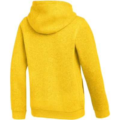 2. Nike Park 26 Fleece-Hoodie für Kinder, Gelb, IB1226 719