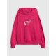 6. Lockerer Damen-Sweatshirt mit Kapuze 4F 4FRSS26TSWSF2836-53S