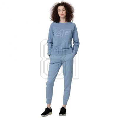 3. Sweatshirt 4F W H4L22 BLD350 32S