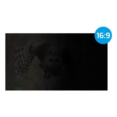 11. NATEC OWL PRIVATISIERUNGSFILTER 17,3" 16:9