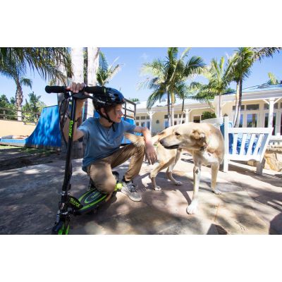 5. Razor E90 Power Core Elektroroller 13173802 (Schwarz, Grün)