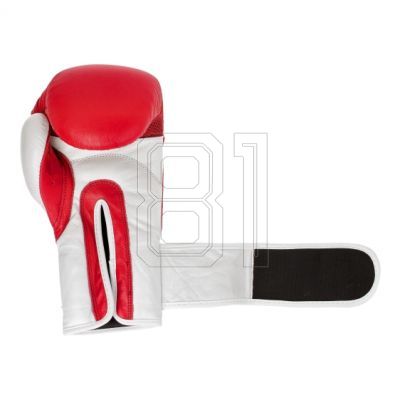 20. MASTERS RBT-TRW 01210-02 Leder-Boxhandschuhe