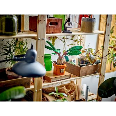 10. LEGO Harry Potter 76433 Alraune