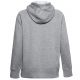 3. Under Armour Rival Fleece Logo Hoodie W 1356318-035 