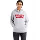 3. Levi's Graphic Standard Hoodie W 184870020