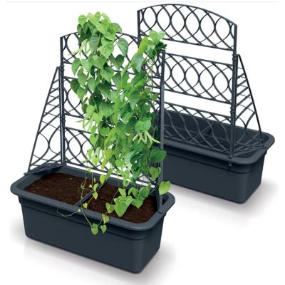 8. BLOMA GRAUER STEINBLUMENTOPF MIT PERGOLA