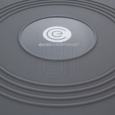 7. ECOWELLNESS QB 014 Balance-Scheibe