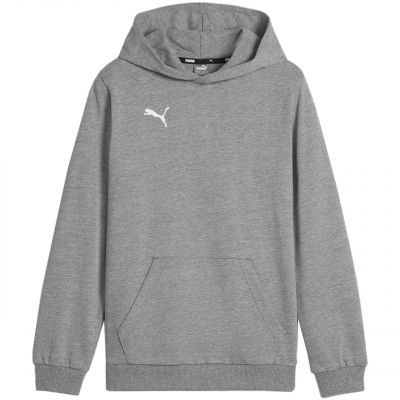 Puma Team Goal Casuals Hoddy Jr Sweatshirt 658619 33