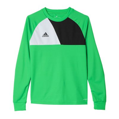 Adidas Assita 17 Jr AZ5406 Sweatshirt