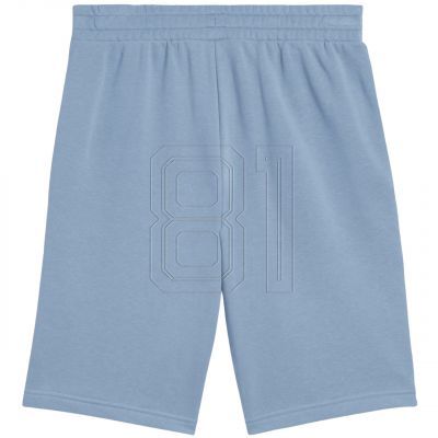 2. Puma Ess 2 Farbe Nr. 1 Logo Shorts M 684715 34