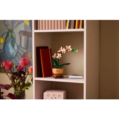 8. LEGO Botanische Kollektion 10343 - Kleine Orchidee