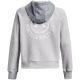 8. Under Armour Rival Fleece CB Hoodie W 1373031 014