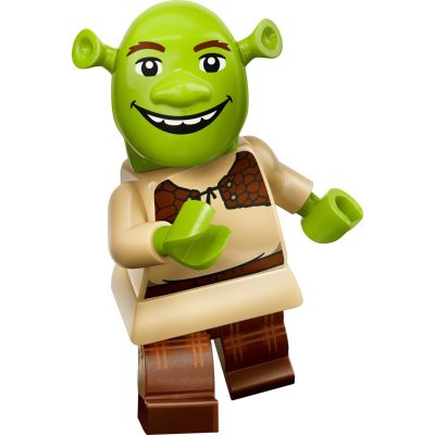 5. LEGO 71053 Minifiguren V110