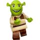 5. LEGO 71053 Minifiguren V110