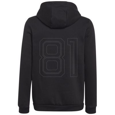 2. Adidas Entrada 22 Hoody Jr Sweatshirt H57516
