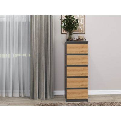 2. W5 Kommode mit 5 Schubladen Ameisen-/Kunstset