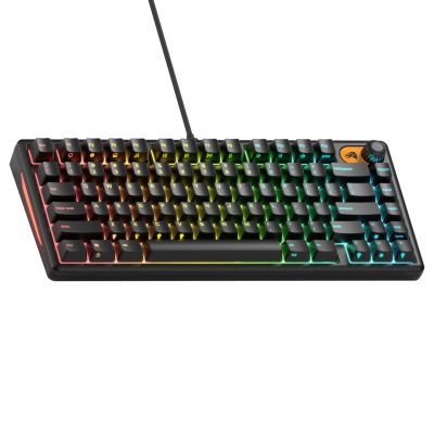 2. Glorious Gaming GMBK 75% USB QWERTY US Englisch Tastatur Schwarz