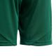 10. adidas Tiro 24 Jr IT2409 Shorts