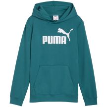 Puma ESS No. 1 Logo Hoodie für Kinder Grün 684909 41