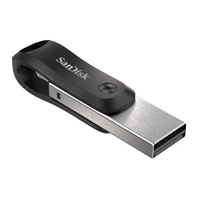 11. SanDisk iXpand GO SDIX60N-256G-GN6NE USB-Stick (256 GB; Lightning, USB 3.0; silber)