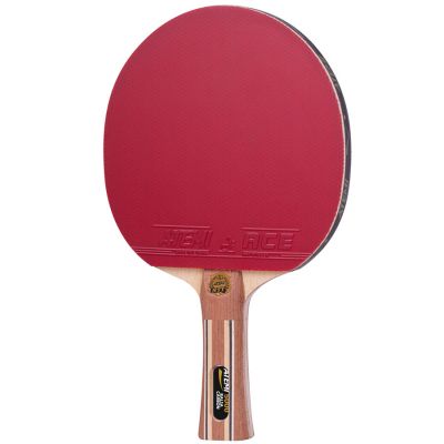 4. Atemi 5000 Tischtennisschläger