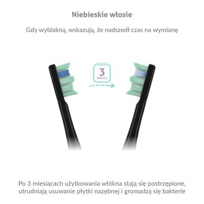 5. TrueLife SonicBrush Clean30 Black Schallzahnbürste