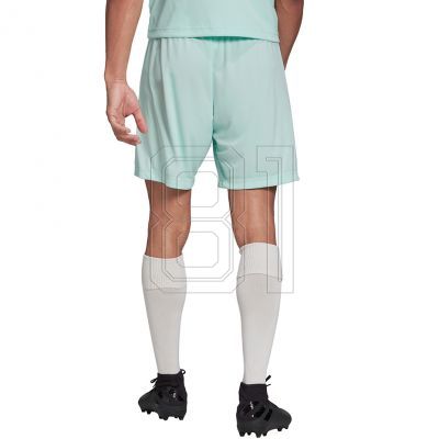 4. Adidas Entrada 22 M HC5051 Shorts