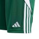 9. adidas Tiro 24 Jr IT2409 Shorts