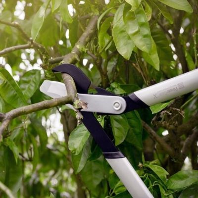 2. Fiskars 1020187 Gartenschere