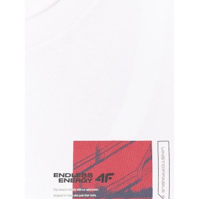8. Herren-T-Shirt mit Aufdruck, regulär, Größe 4F 4FRAW25TTSHM3256-10S